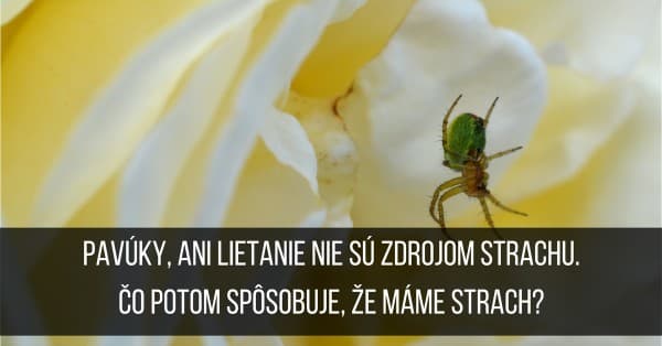 Máte strach z pavúkov, z výšky, z lietania? Fóbia za pár minút navždy preč