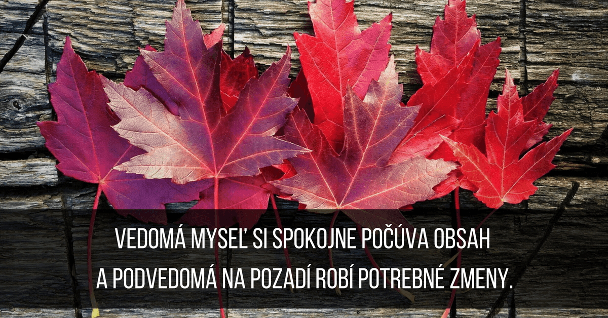 Okamžité zmeny na podvedomej úrovni – Hypnoreč a Transformačná gramatika